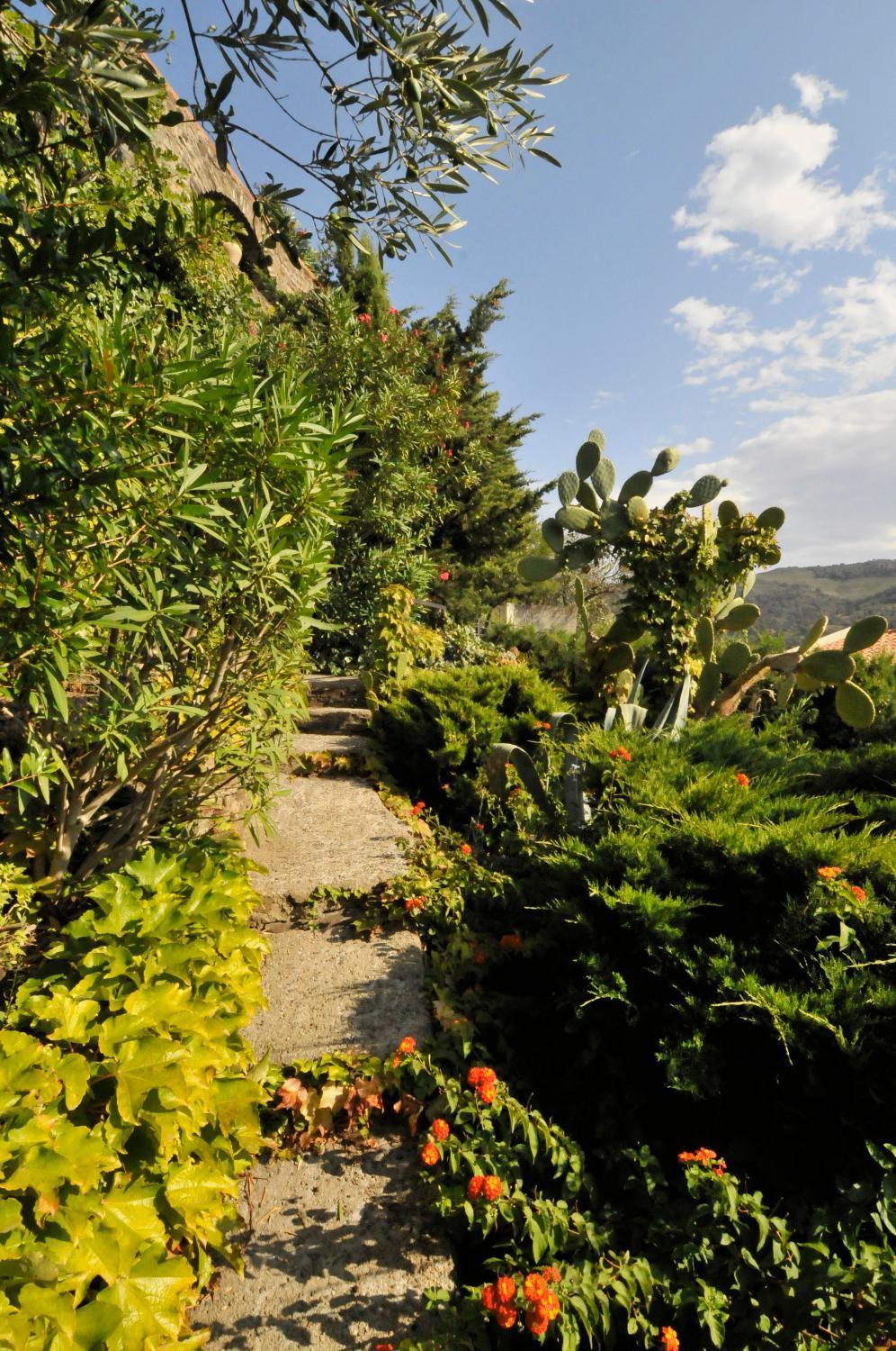 Hotel Mediterranee Collioure Exterior photo